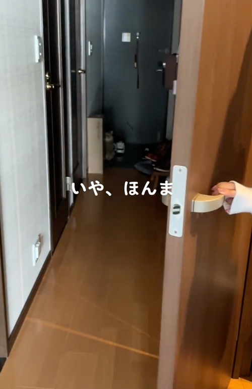 飼い主のお出掛けを察する猫