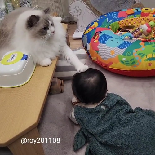 わかったか？