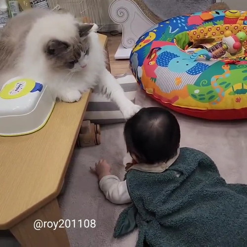 あぶないから