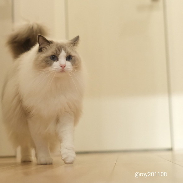 忙しいな