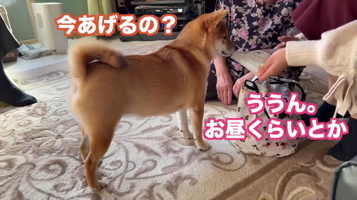 おやつ引き継ぎ