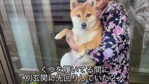 ばあちゃんに抱っこ