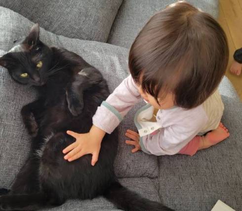 黒猫 鬼 筋肉こどもマキシマムどらいぶ