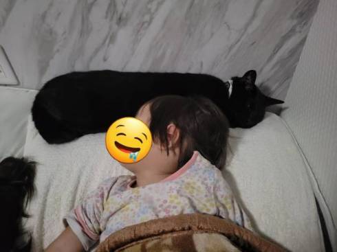 黒猫 鬼 筋肉こどもマキシマムどらいぶ