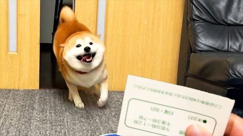 おすすめ