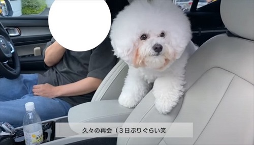 飼い主さんのそっくりさんが家にやってきた愛犬