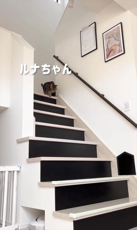 ルナちゃんテロップ