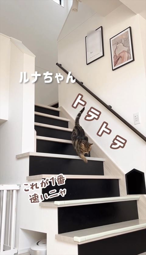 トテトテテロップ