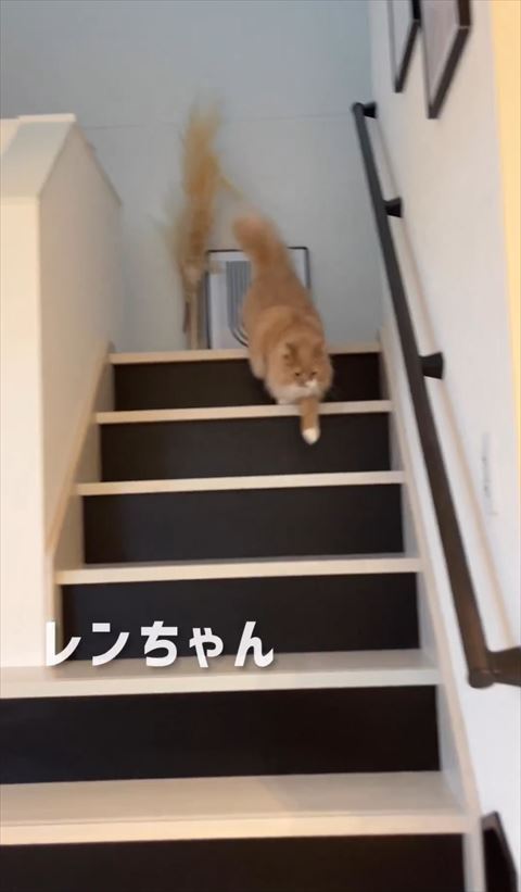 レンちゃんテロップ