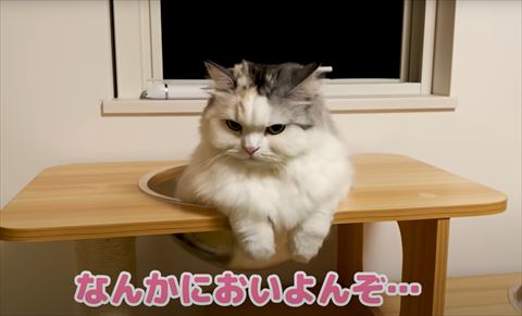 なんか匂いよんぞテロップ