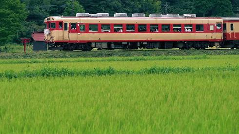 キハ28とキハ52の併結