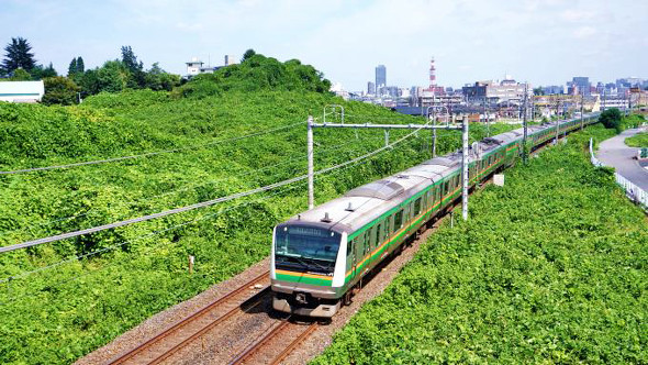 E233系電車・普通列車、東北本線・宇都宮〜雀宮間