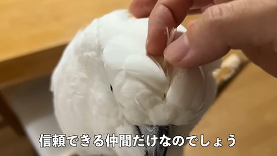 信頼できる