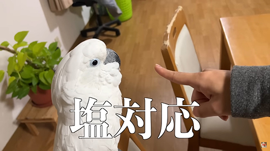塩対応