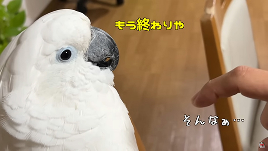 もうやらん