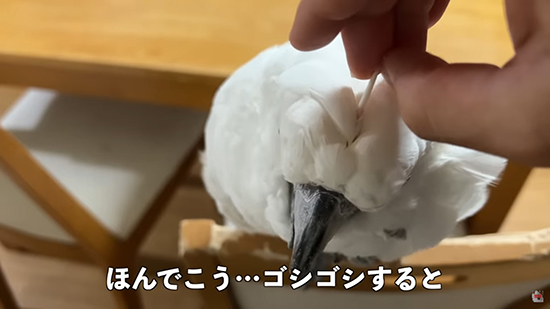 ゴシゴシすると