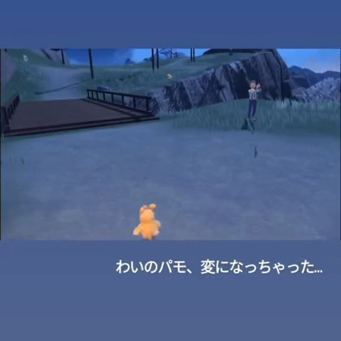 「ポケットモンスター　スカーレット・バイオレット」　パーモット？