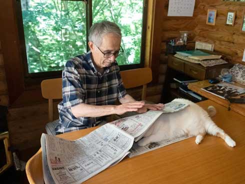 新聞 地図 読む お父さん 邪魔 猫 攻防