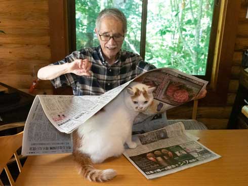新聞 地図 読む お父さん 邪魔 猫 攻防