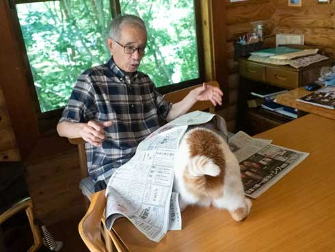 新聞 地図 読む お父さん 邪魔 猫 攻防