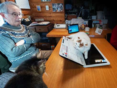 新聞 地図 読む お父さん 邪魔 猫 攻防