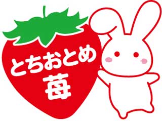 雪見だいふく ハートのいちご ロッテ