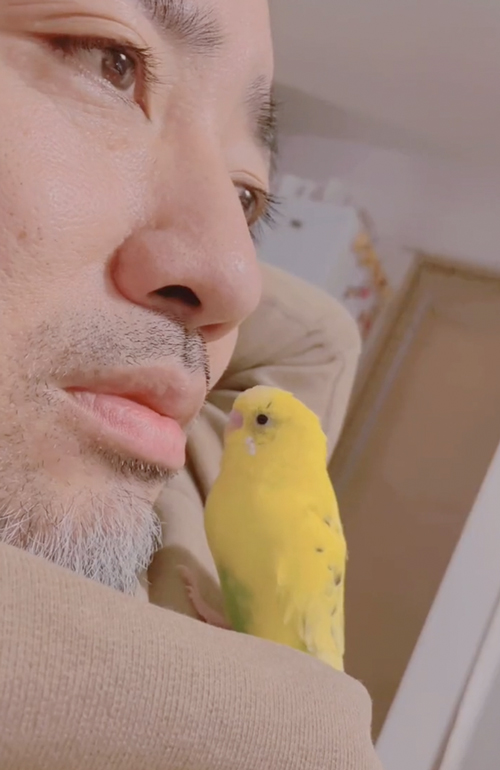 お父さんにメロメロなインコ