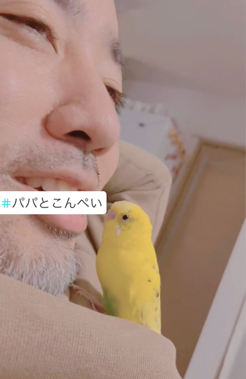 お父さんにメロメロなインコ