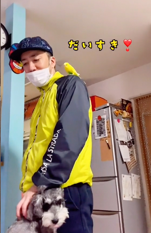 お出迎えするインコ