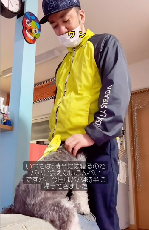 お出迎えするインコ