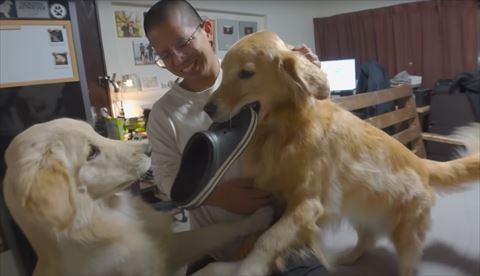 見つめ合うきょうだいワンコ