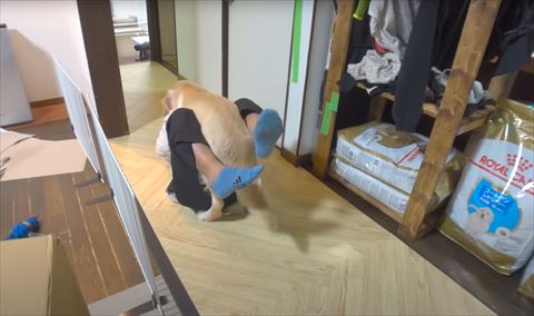 寝転がる人とおおいかぶさるゴールデンレトリバー