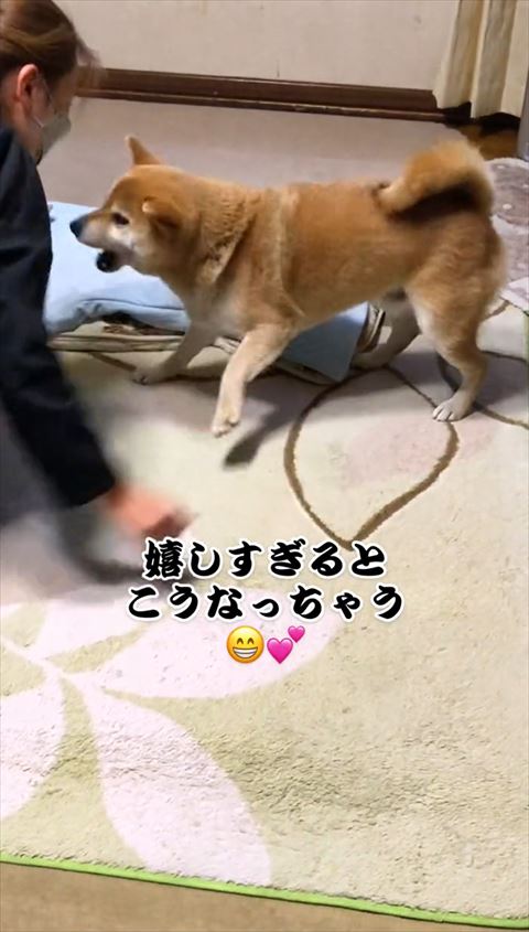 吠えてるようなワンコ