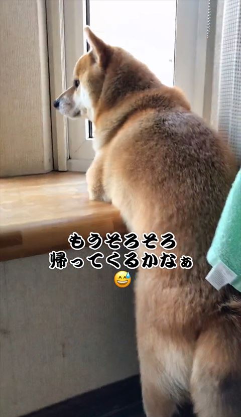 そろそろ帰ってくるかなテロップ