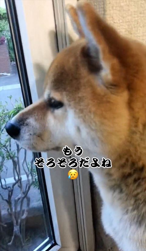 そろそろだよねテロップ