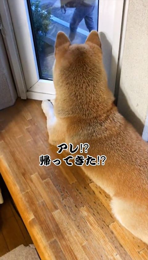 帰ってきたテロップ