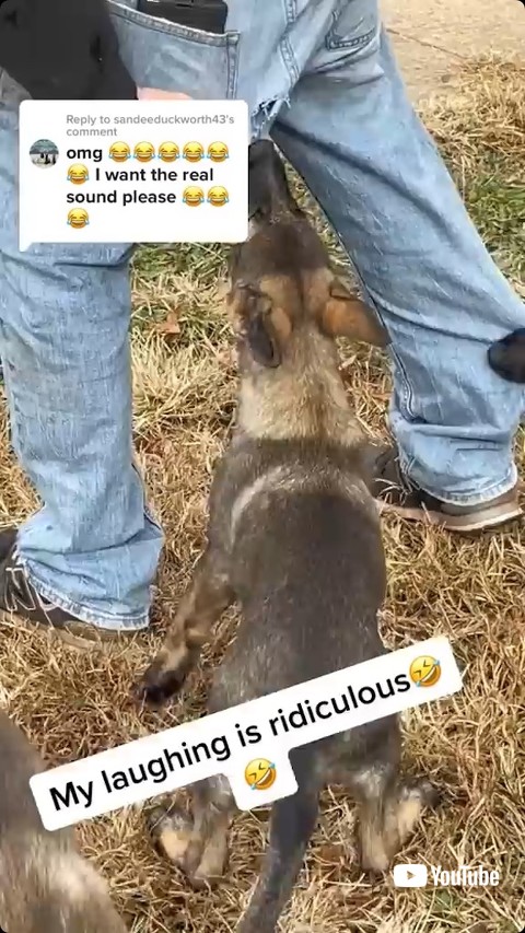 ズボンを狙う子犬