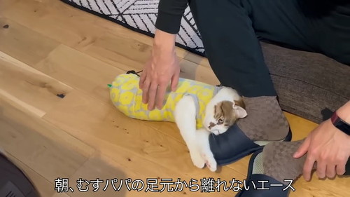 離れないエース