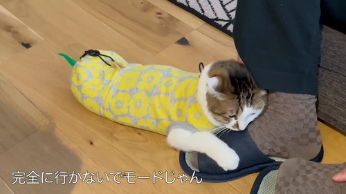 行かないでモード