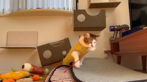 何だってできる