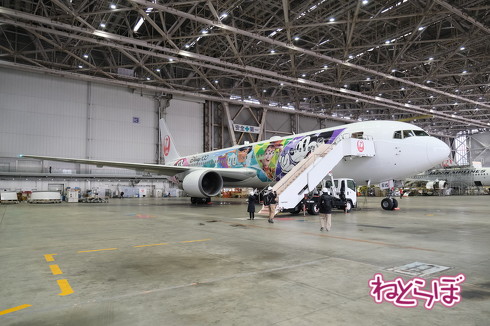 JALの「ディズニー創立100周年」特別塗装機が就航！ お披露目