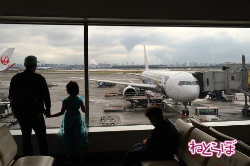 JAL DREAM EXPRESS Disney100