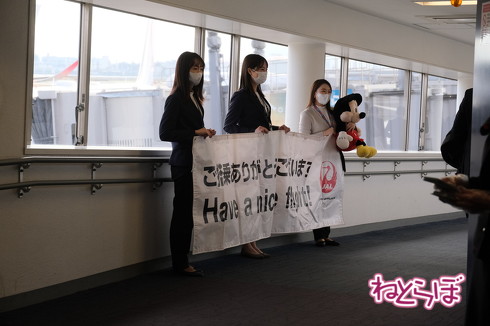 JAL DREAM EXPRESS Disney100