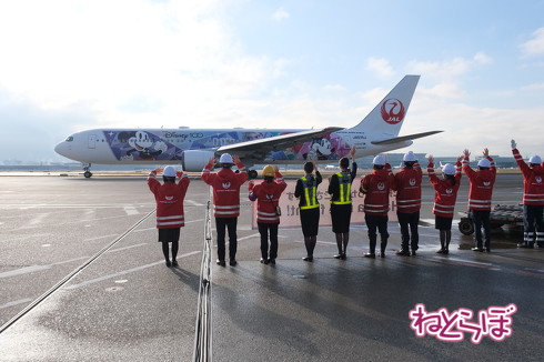 JAL DREAM EXPRESS Disney100
