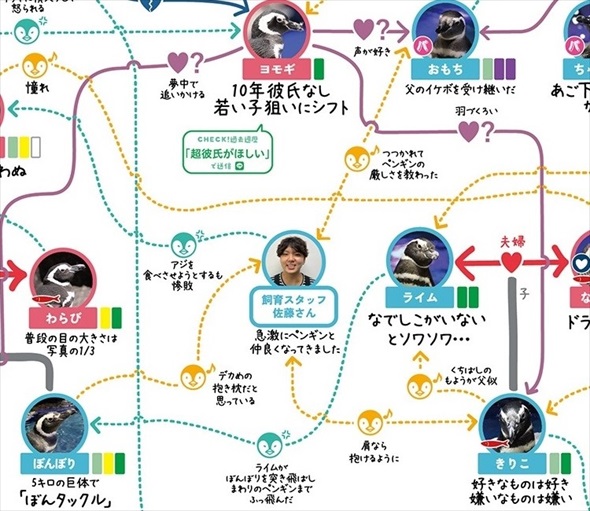すみだ水族館ペンギン相関図