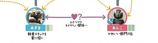 すみだ水族館ペンギン相関図