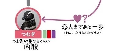 すみだ水族館ペンギン相関図