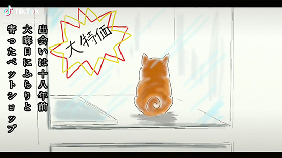 老犬が向かった先