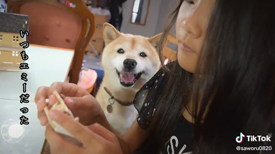 いつもエミーだった