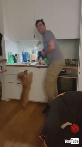 笑顔の飼い主と犬
